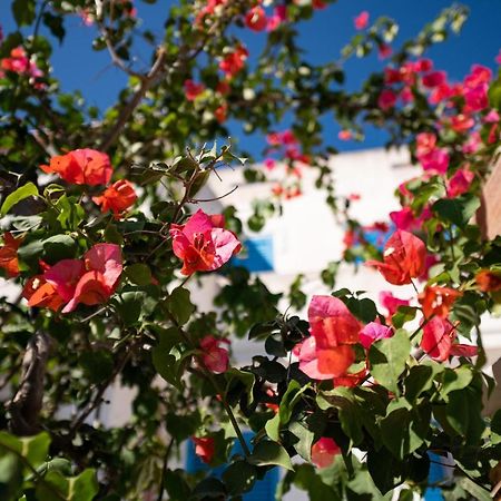 Casa Vacanze 21 Aprile - T Calasetta Eksteriør billede